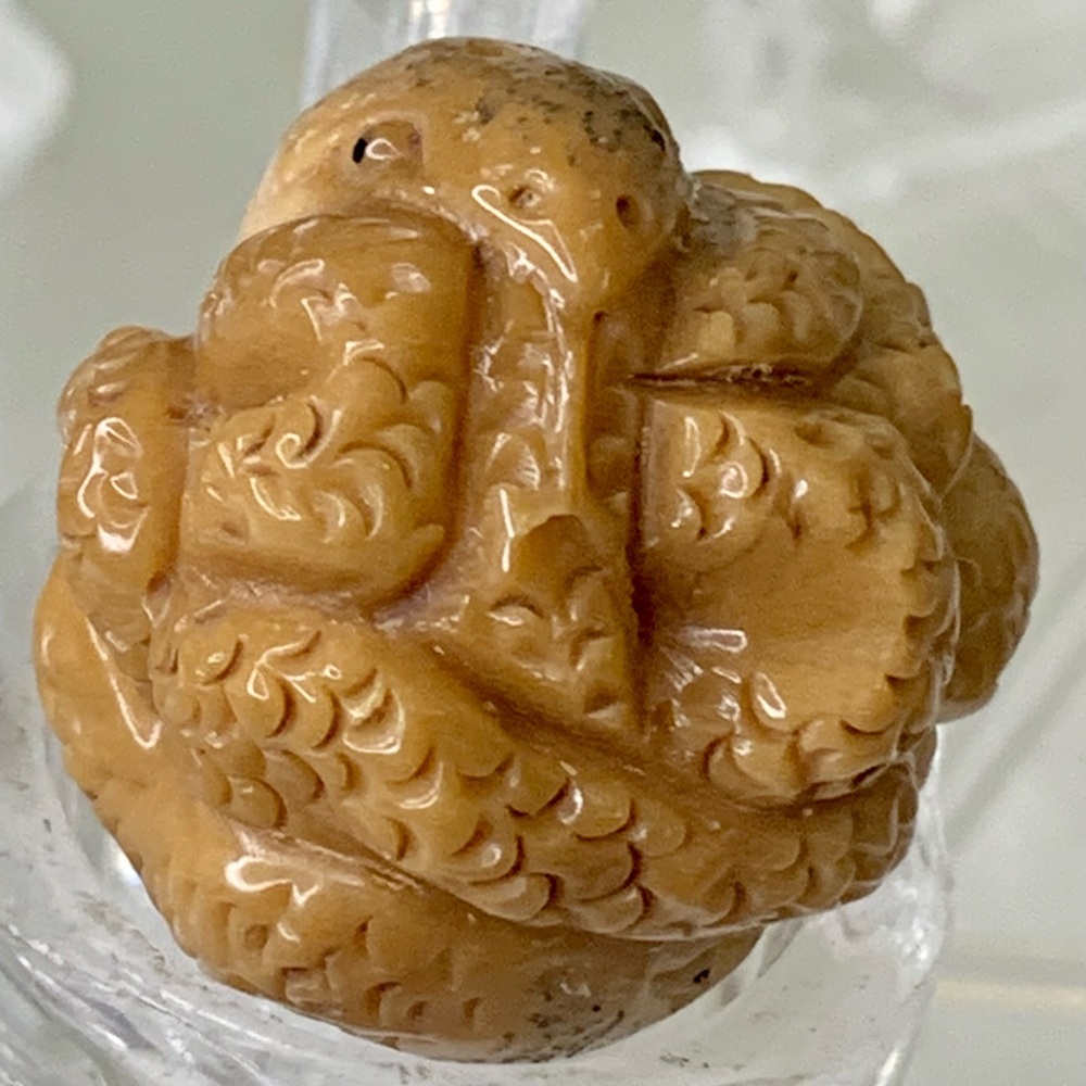 Vintage NETSUKE Carved Tagua Nut Snake Reptile Carving Bead Figurine Japanese